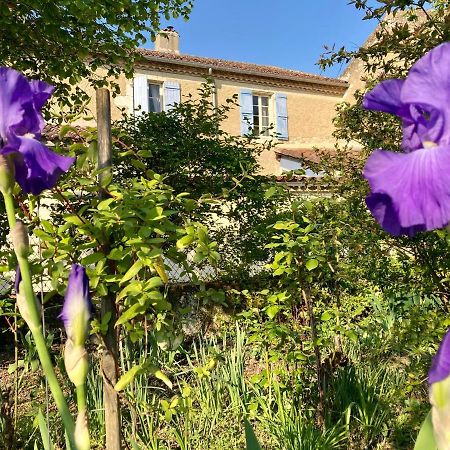 Bed and Breakfast Le Petit Cochon Valence-sur-Baïse Exterior foto