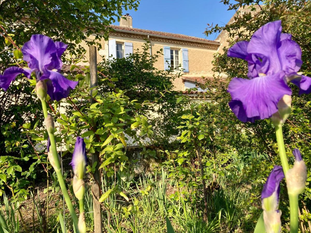 Bed and Breakfast Le Petit Cochon Valence-sur-Baïse Exterior foto